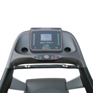 Беговая дорожка Gymmaster AC5000