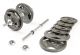 Набор гантелей с железной ручкой HAMMERTONE 2x11,5кг