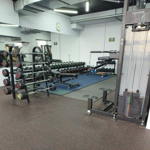 Гравитрон Insight Fitness HS11