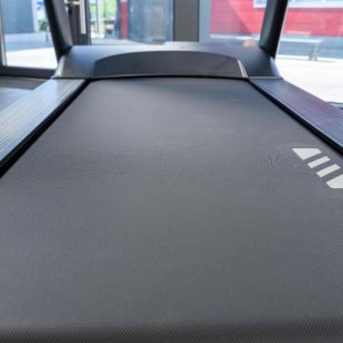 Профессиональная беговая дорожка SHUA SH-T8919T22 (21,5")