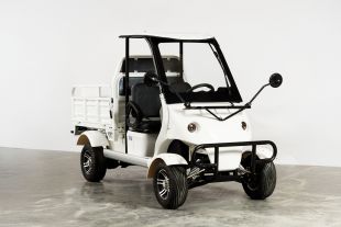 Гольфкар грузовой OMA Electric Q8 (60V 2500W)