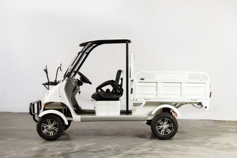 Гольфкар грузовой OMA Electric Q8 (60V 2500W)