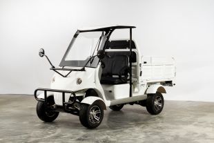 Гольфкар грузовой OMA Electric Q8 (60V 2500W)