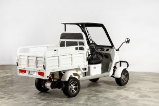 Гольфкар грузовой OMA Electric Q8 (60V 2500W)