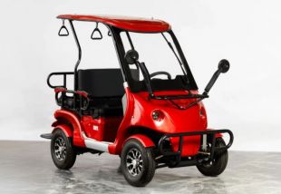 Гольфкар OMA Electric Q8-4 (2+2 60V 1500W)