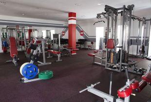 Стойка для олимпийских дисков AeroFIT IFPTO