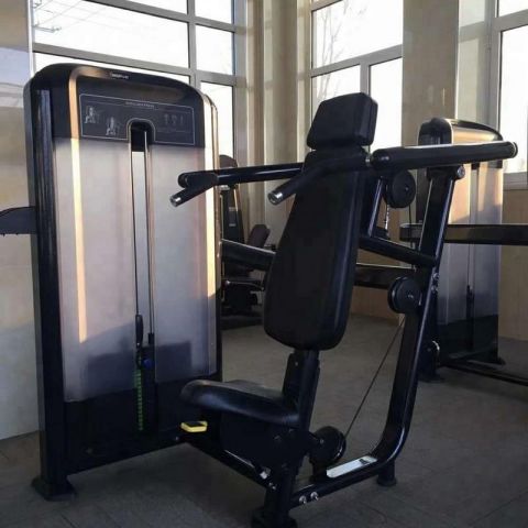 Жим от плеч Insight Fitness TF02