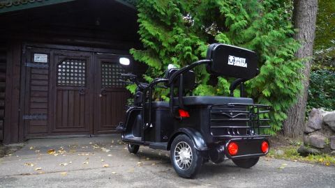 Электротрицикл WHITE SIBERIA SIBTRIKE R 2000W