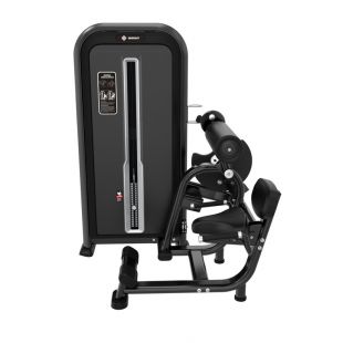 Пресс-машина/разгибание спины Insight Fitness TY31
