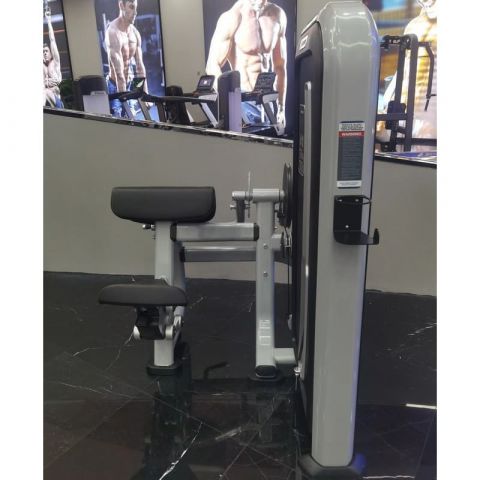 Бицепс/трицепс-машина Insight Fitness TY26