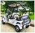 Гольфкар GreenCamel Сонора A40 New (4 seats 2500W 225/40-10' литые)