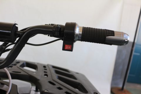 Квадроцикл GreenCamel Атакама T240 (48V 1000W R8 Дифференциал) 