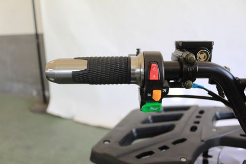 Квадроцикл GreenCamel Атакама T240 (48V 1000W R8 Дифференциал) 