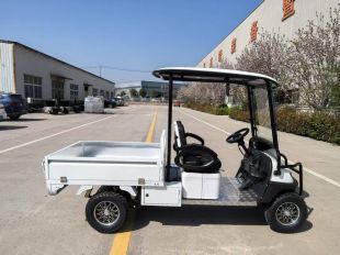 Гольфкар GreenCamel Сонора A2C New (2+Cargo 2500W 130/90-10' литые) пониженная
