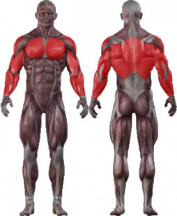 Гравитрон JOHNS CT 2028